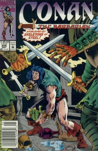 Conan The Barbarian Vol 1 # 256