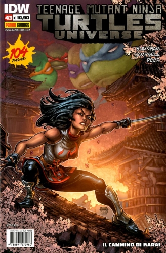 Teenage Mutant Ninja Turtles # 43