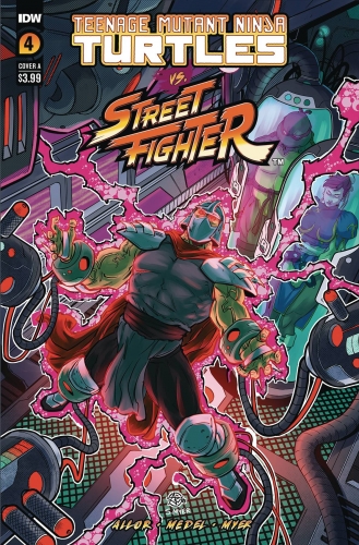 Teenage Mutant Ninja Turtles vs. Street Fighter # 4