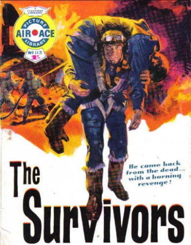 Air Ace Picture Library # 113