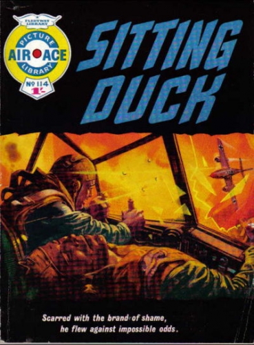 Air Ace Picture Library # 114
