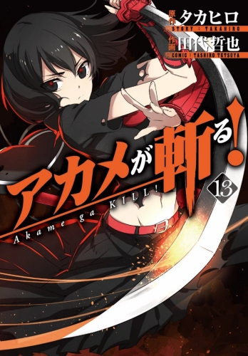 Akame ga Kill! (アカメが斬る！ Akame ga kiru!) # 13