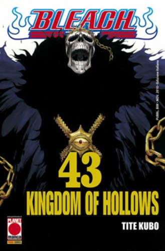 Bleach # 43