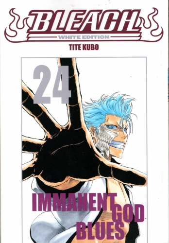 Bleach - White Edition # 24