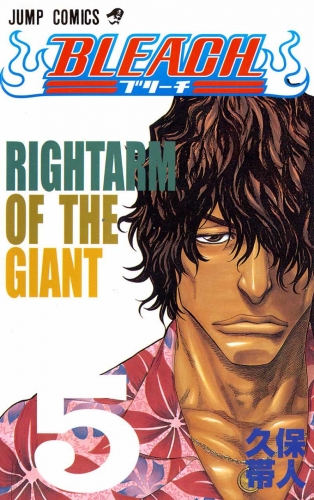 Bleach (BLEACH ブリーチ BLEACH Burīchi) # 5