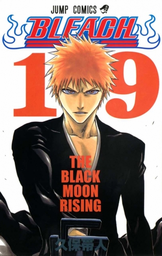 Bleach (BLEACH ブリーチ BLEACH Burīchi) # 19