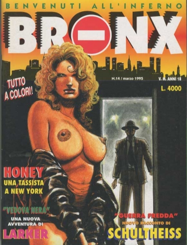 Bronx # 14