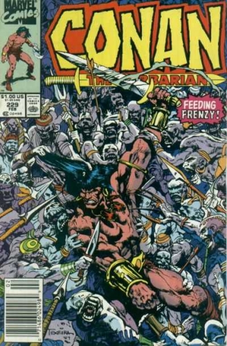 Conan The Barbarian Vol 1 # 229