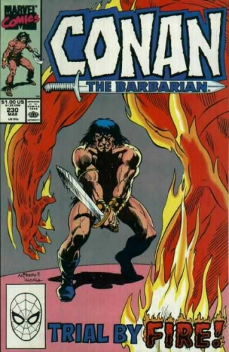 Conan The Barbarian Vol 1 # 230