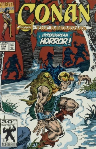 Conan The Barbarian Vol 1 # 254