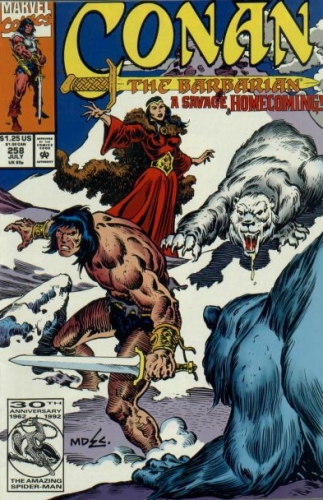 Conan The Barbarian Vol 1 # 258