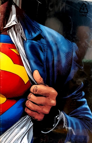 DC Absolute # 48