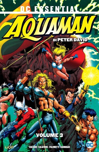 DC Essential # 27