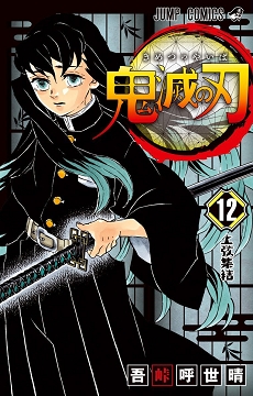 Demon Slayer (鬼滅の刃 Kimetsu no yaiba) # 12