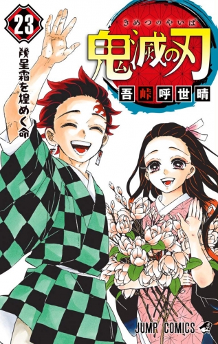 Demon Slayer (鬼滅の刃 Kimetsu no yaiba) # 23