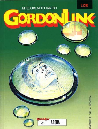 Gordon Link # 21