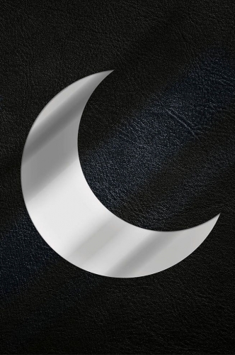 Moon Knight: Personalità Multipla - Edizione Definitiva # 1