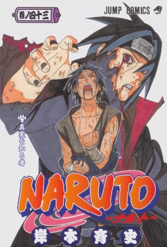 Naruto (NARUTO -ナルト-) # 43