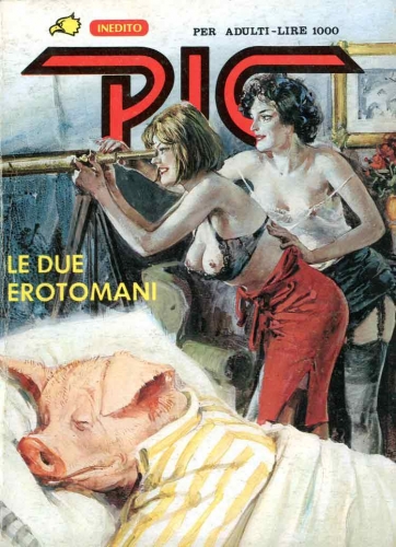Pig # 27