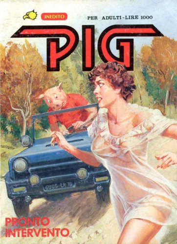 Pig # 31
