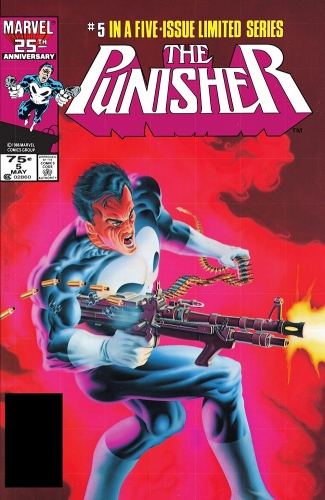 Punisher vol 1 # 5