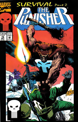 Punisher vol 2 # 78