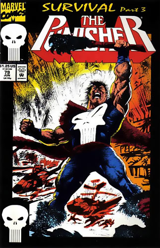 Punisher vol 2 # 79