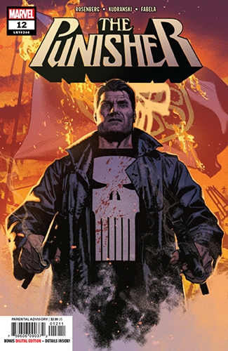 Punisher vol 12 # 12