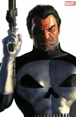 Punisher Vol 13 # 1