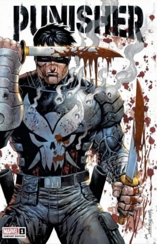 Punisher Vol 13 # 1