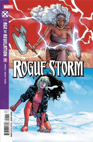 Rogue Storm # 1