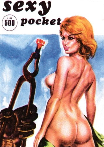 Sexy pocket # 2