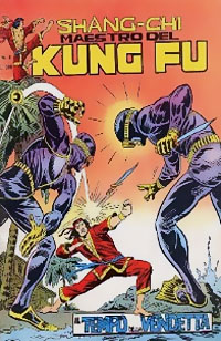 Shang-Chi. Maestro del Kung Fu v1 # 8