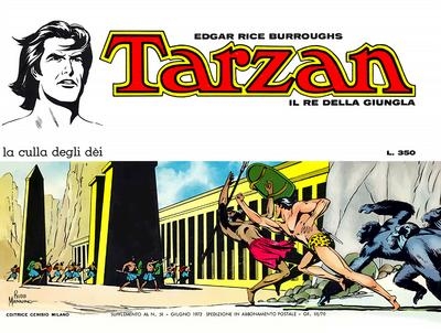 Tarzan special # 1