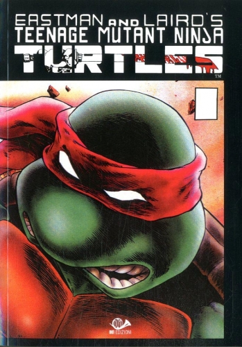Teenage Mutant Ninja Turtles # 2