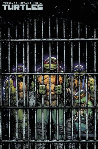 Teenage Mutant Ninja Turtles (II) # 11