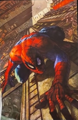 L'Uomo Ragno/Spider-Man # 883