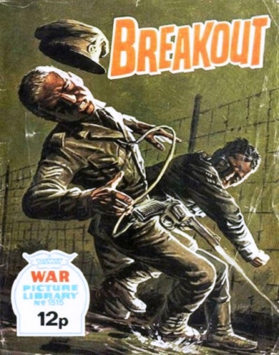 War Picture Library # 1515