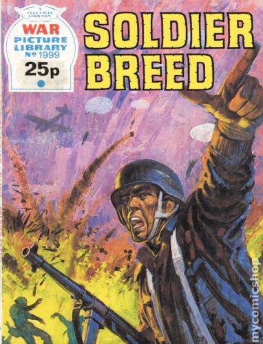 War Picture Library # 1999