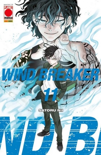 Wind Breaker # 11