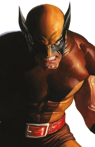 Wolverine # 410