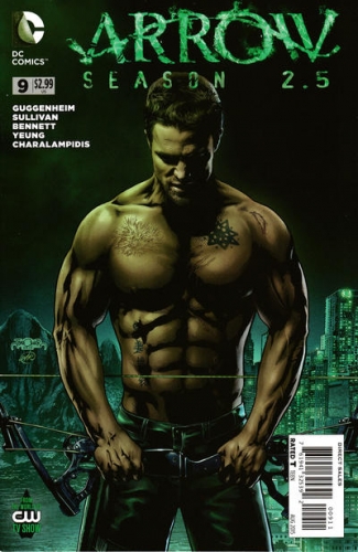 Arrow Season 2.5 # 9