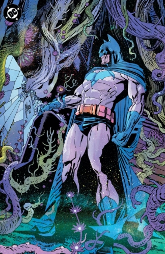 Batman Vol 4 # 13