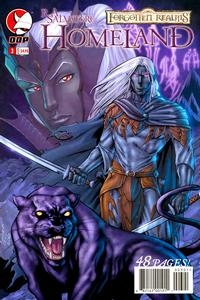 Dungeons & Dragons Forgotten Realms: Homeland # 3