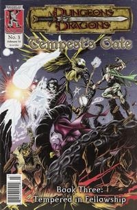 Dungeons & Dragons: Tempest's Gate # 3