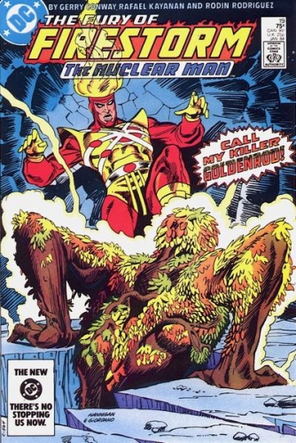 Firestorm Vol 2 # 19