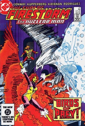 Firestorm Vol 2 # 27