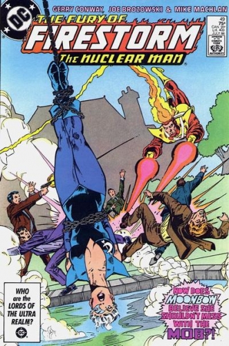 Firestorm Vol 2 # 49