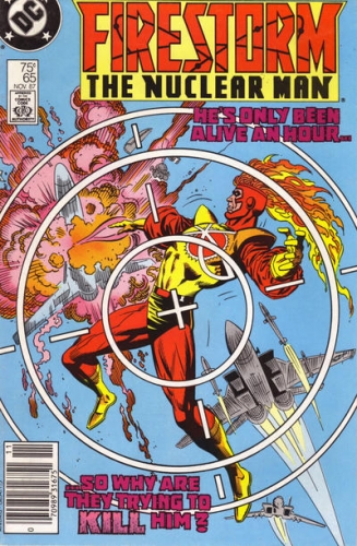 Firestorm Vol 2 # 65