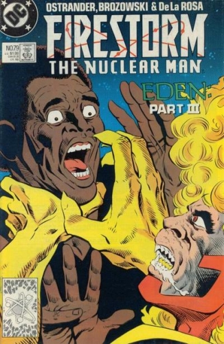 Firestorm Vol 2 # 79